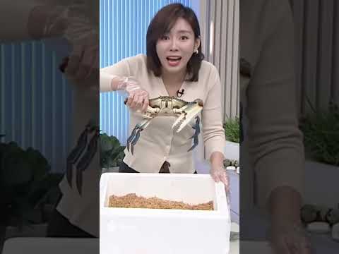 홈쇼핑 방송 사고