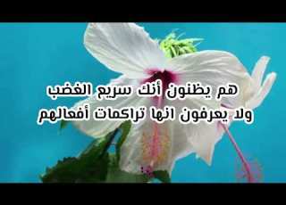 أروع الكلمات مع أجمل موسيقى لفيروز    
