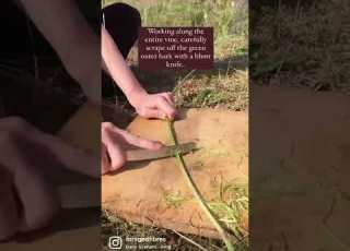  Bramble Blackberry Cordage