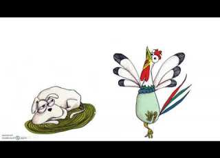 لماذا صاح الديك باكر ا