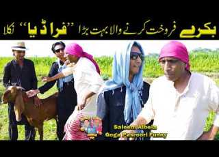 Bakra Bechney Wala Fraud Niklaa Saleem Albela And Goga Pasroori Funny Video