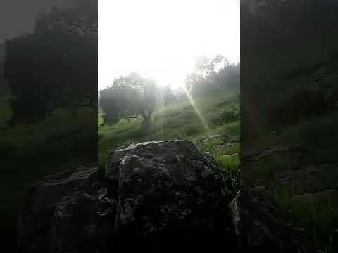 Oromiyaa Magarisaa Baredaa Qabdii Yadee Biyaa Koo Dawadha