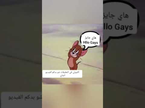 Gays هاي جايز