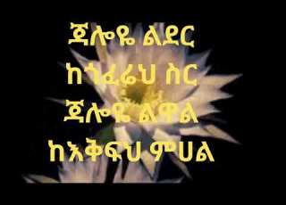  ጃሎዬ ልዋል ከእቅፍህ ምሀል New Ethiopian Music