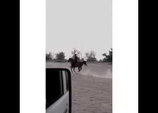 مات شعري مات