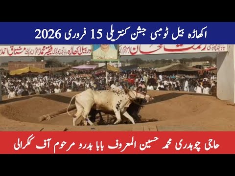 Haji Chaudhry Muhammad Hussain Of Baba Badru Of Kikrali Akhara Bail Tombi Kantrili 15 February 2026