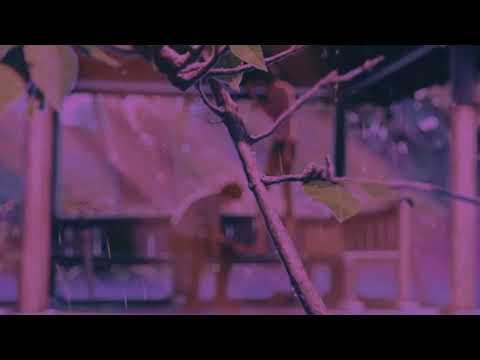 Placebo Effect Slowed D4vd