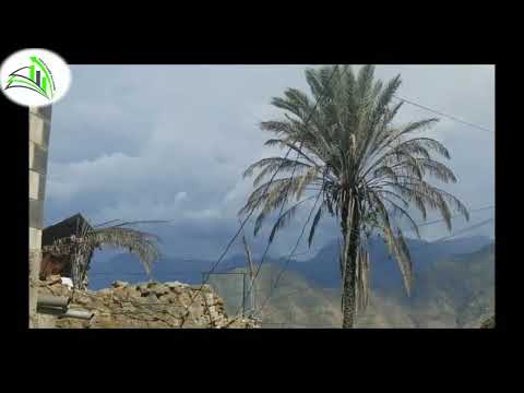 مسك الختام رائعة الشاعر حسن عبدالله الشرفي لحن وغناء بليغ قصبه