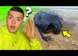 8 أشياء لا تصدق أخرجتها الأمواج إلى الشاطئ