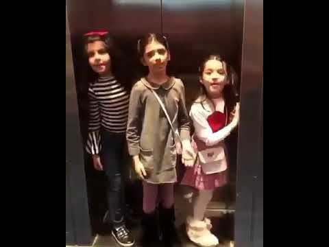 الجود و الجوري و وضحه لوعت كبدي