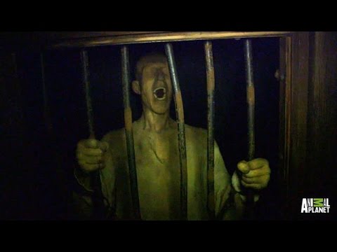 Retribution Awaits At The San Francisco Dungeons Redwood Kings