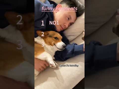 This Is So Funny I Couldn T Stop Laughing Funny Youtubeshorts Viral