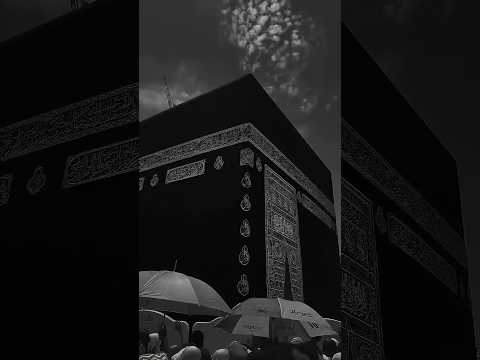 طاهر القلب نقي ذاكر لله