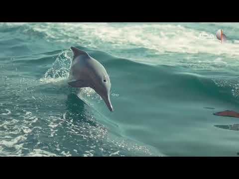 خور شم محافظة مسندم