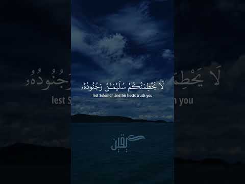 يا أيها النمل ادخلوا مساكنكم