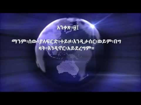 AMHARIC Universal Declaration Of Human Rights አማርኛ