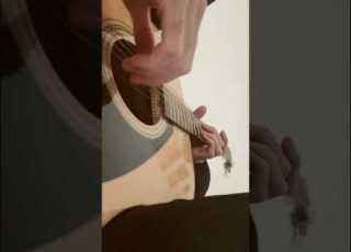 Sting Fragile Acoustic Guitar