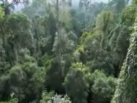 Surah 76 Al Insan Salmaan Al Utaybi CC