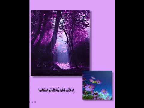 عمر الدريويز ان الذين قالو ربنا الله ايات قصيرة حالات واتس انستقرام سناب صوت مؤثر