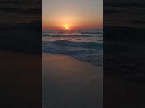 يروح البحر محمد رحيم تامر حسني بنت محمد رحيم Follow اكسبلور Youtube Like ترند بحر Music