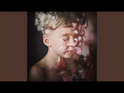 Between Silence And Light