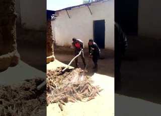  Sirba Yeroo Midhaan Tumaa