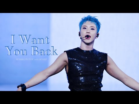 I Want You Back HOSHI X WOOZI FAN CONCERT WARNING 세븐틴 호시 직캠
