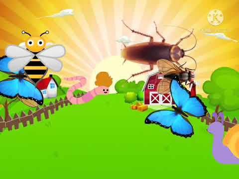 دودة كوكب علوم سبيس تون