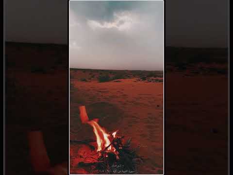 تلاوة عطرة للقارئ أنس المالك آيات من سورة التوبة تلاوة عطرة للقارئ أنس المالك آيات من سورة التوبة