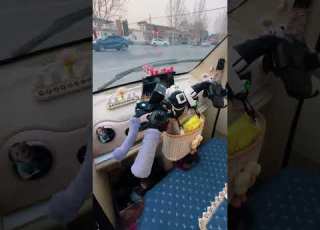  Is This Tricycle Nice Tricycle Minicamper Minicar Funny Carcamping Limousine Travel