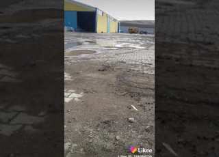 حسن کریمی