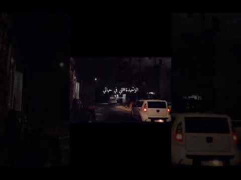 اوعديني ان انتي تبقي زي ضلي متبعديش وائل جسار