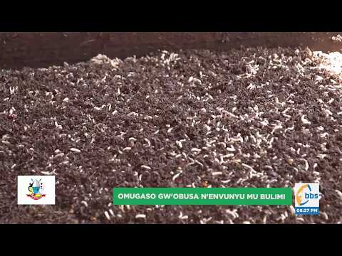 Obugagga Obuli Mu Kulunda Envunyu Zigaba Kiralu ObulimiNobulunzi