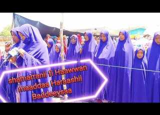 Shamarran Maaddaa Haraashii Magaalaa Baddeeysa