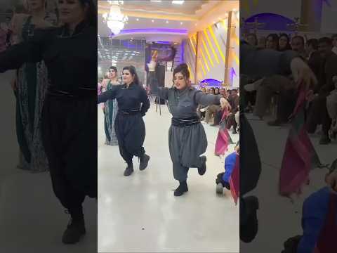 Halparke Kurdishdance Dance