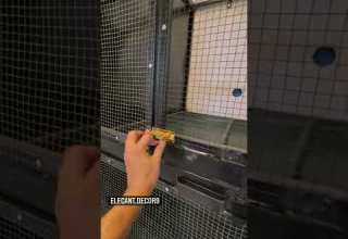 اقفاص طيور اقفاص ببغاء طيور حدادة مقاولات مقاطع فيديو اكسبلور Explore Explorepage Parrot