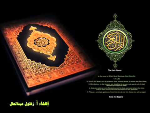 الشيخ محمد الليثى سورة النساء