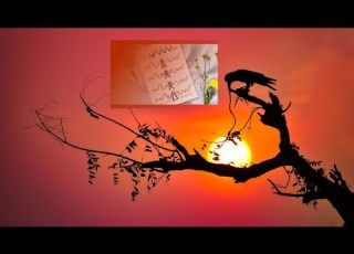  مستند شنود جلسه دوازدهم فصل اول بهت آورترین تجربه نزدیک به مرگ