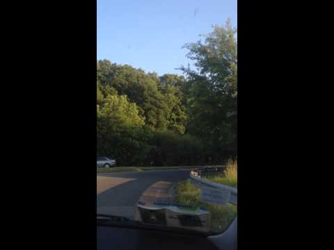 لا طاح الليل كشافة المغرب بفرنسا