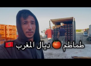  طماطم ديال المغرب غير ملاوحه هنا في اسبانيا اجي تعرف الحقيقة ديال الفلاحة في الميريا