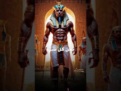 نشيد نحن كل شيء بالغة المصرية الاصلية كمت