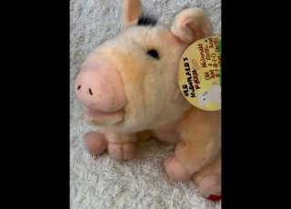 Old McDonald Had A Farm Singing Pig Musical Classic Fun Toy