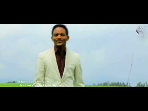 Jaagamaa Taaddalaa L Atumti Nagaan Kottu L Istaayila Addaa L Weelluu Jaalalaa