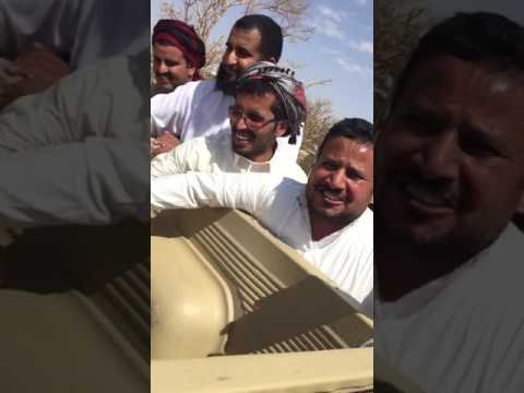 ذيب يفترس الغنم