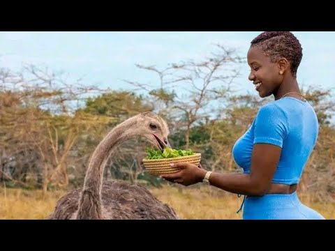 2026 Kisima Ft Limbu Nyanda Shinyanga Masome Ft Jiminogeni Ujumbe Tangazo Video Music 0684560194