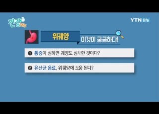 유산균 음료 위궤양에 도움 된다 YTN 라이프