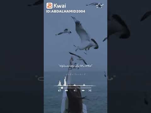 وائل جسار ويا بخته