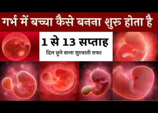  1 स 13 सप त ह 1 3 मह न गर भ म श श क व क स How A Baby Developed In 1 To 3 Month