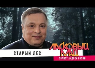  Ласковый Май солист Андрей Разин Старый лес