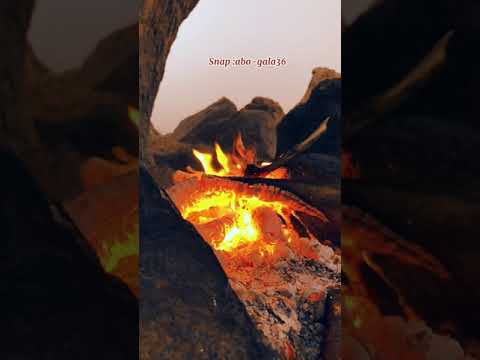 مسحوب يا وجودي ليت مالي على الدنيا وجود